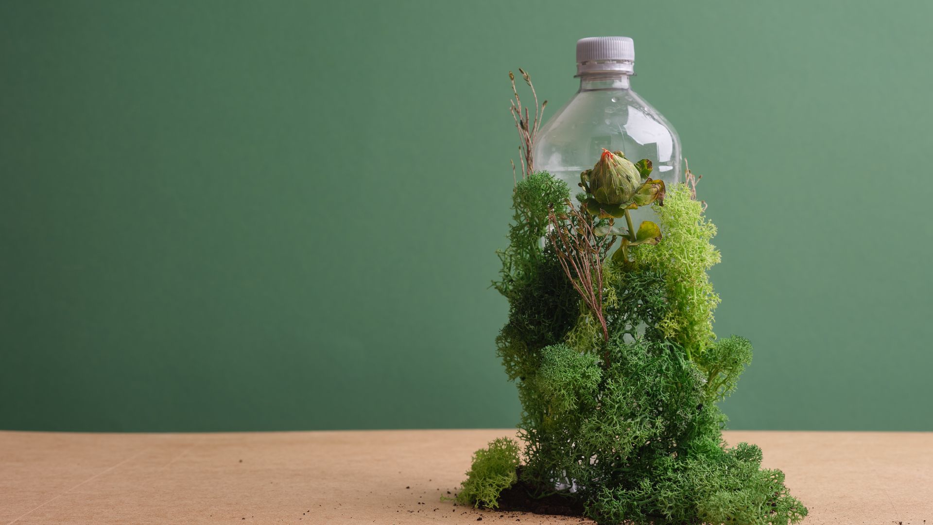 ISO 14025 for Sustainability: Communicate Your Product's Environmental ...
